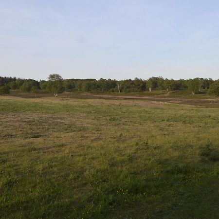 Chalet Bosrust Wolfheze Eksteriør bilde